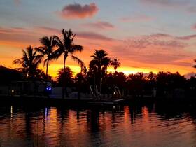 A stunning sunset paints the sky in vibrant hues over a tranquil waterfront, framed by swaying palm trees and reflecting on the water's surface.