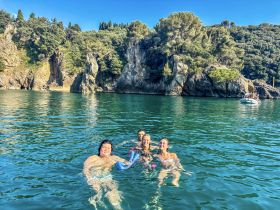 A joyful group enjoys swimming in clear waters near a scenic coastline, perfect for snorkeling adventures and summer fun.