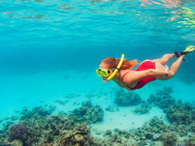 A snorkeler explores vibrant underwater scenery, gliding over coral reefs and colorful fish — a perfect snapshot of aquatic adventure.