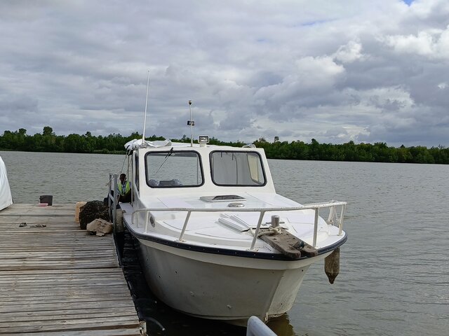 Listing image 1154156