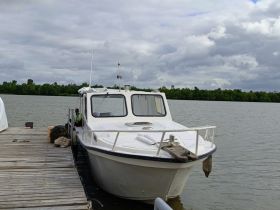 A view of a boat docked at a pier, showcasing its structure against a backdrop of lush greenery and cloudy skies.