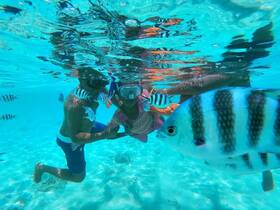 Two snorkelers interact with vibrant fish underwater, showcasing the beauty of marine life in crystal-clear waters — a perfect adventure for ocean enthusiasts.