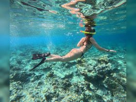 A snorkeler explores vibrant coral reefs in crystal-clear waters, showcasing the beauty of underwater adventures — perfect for marine life enthusiasts.