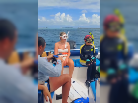A group prepares for a snorkeling adventure on a boat, showcasing the excitement of exploring underwater life in a beautiful ocean setting.