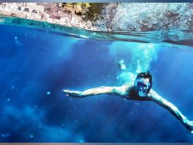 A snorkeler glides through crystal-clear waters, showcasing the beauty of underwater exploration — perfect for adventure seekers and marine life enthusiasts.