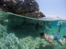 A snorkeler explores the vibrant underwater world near rocky formations, showcasing the beauty of marine life and crystal-clear waters.