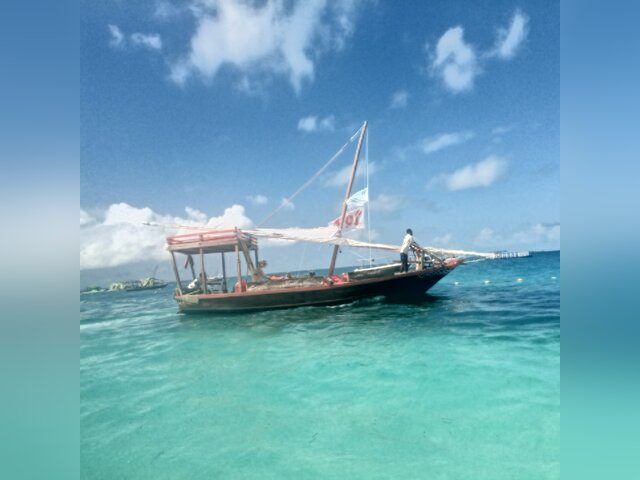 Listing image 1154392