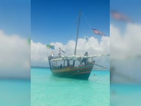 Snorkelling and dolphins trip full day trip 