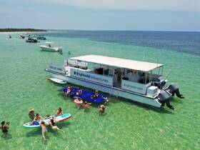 A lively group enjoys a fun day in the water around a pontoon boat, engaging in swimming and relaxation — perfect for a memorable adventure with friends.