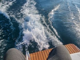 A scenic view from the back of a boat, showcasing the wake and sparkling water, perfect for capturing the essence of a day on the water.