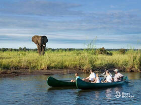 A family enjoys a canoeing adventure while observing an elephant in its natural habitat — a thrilling wildlife encounter perfect for nature lovers.
