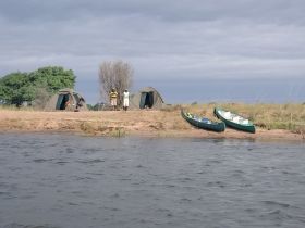 A group enjoys a camping experience by the water, with canoes ready for adventure and tents set up on the shore, perfect for outdoor enthusiasts.