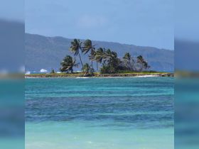 A picturesque view of a secluded island with swaying palm trees, surrounded by vibrant turquoise waters — an ideal destination for relaxation and exploration.