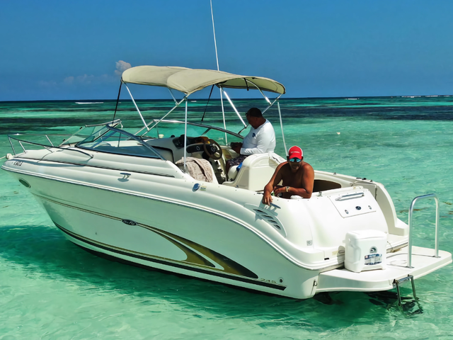 Listing image 1157380