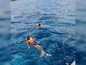 Two individuals enjoy snorkeling in the vibrant blue ocean, showcasing the excitement of underwater exploration during a fun-filled day on the water.