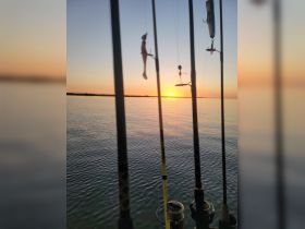 Fishing rods silhouetted against a stunning sunset over calm waters, capturing the essence of a peaceful evening on the water.
