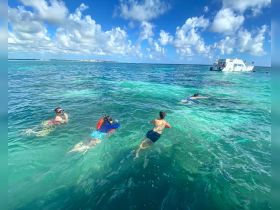 A group of snorkelers explores the vibrant underwater world in crystal-clear turquoise waters, with a boat anchored nearby — a perfect adventure for marine enthusiasts.