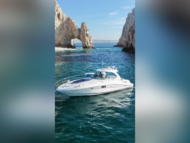 Listing image 1167994