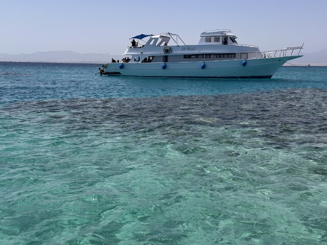 Listing image 1155147