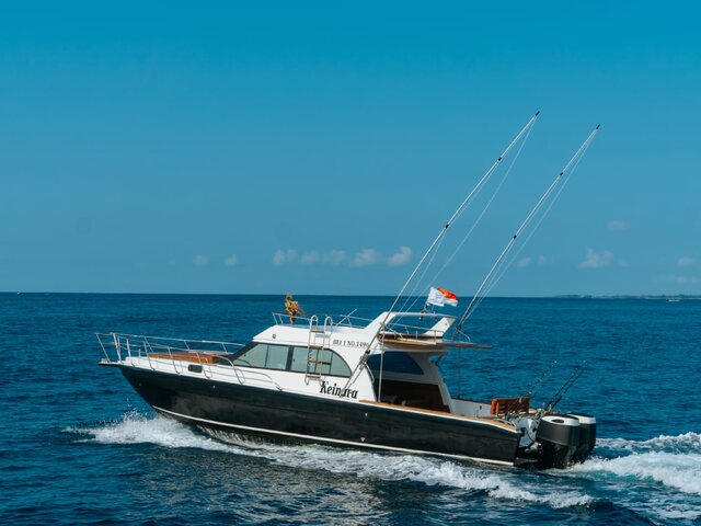 Listing image 1155165