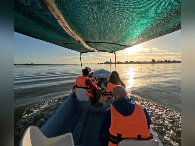 Listing image 1155170