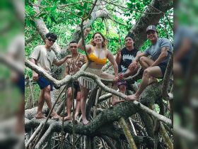 A group of friends poses playfully among the mangrove trees, capturing the spirit of adventure and exploration in a lush tropical setting.