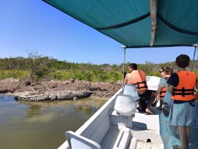 Guests observe a crocodile from their boat during a wildlife tour, showcasing the thrill of close encounters with nature.