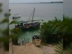 Cruise Dhow