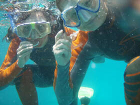Two snorkelers enjoy an underwater adventure, showcasing the vibrant marine life and clear waters — perfect for exploring the ocean's wonders.