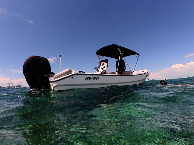 Listing image 1155579