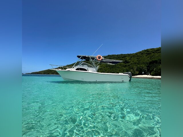 Listing image 1155624