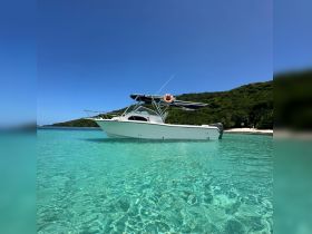 A sleek speedboat anchored in crystal-clear waters, showcasing its elegant design against a backdrop of lush greenery.