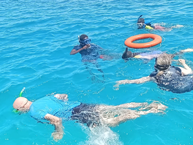 A group of snorkelers explores the vibrant underwater world in crystal-clear waters, showcasing the excitement of marine adventures.
