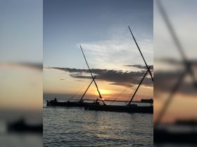 Sailboats glide across the water at sunset, creating a picturesque scene perfect for capturing the beauty of a tranquil evening on the water.