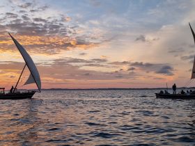 Two sailboats glide across the water at sunset, creating a picturesque scene perfect for sailing adventures and scenic cruises.