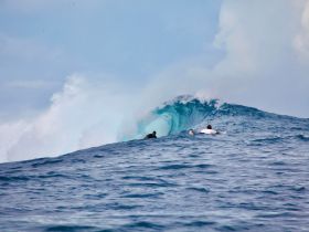 Surfers catch a wave in the open ocean, showcasing the thrill of water sports and the beauty of the sea.