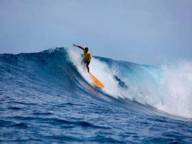 A surfer skillfully rides a wave, showcasing the thrill of water sports — perfect for adventure seekers and beach lovers.