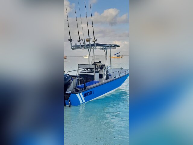 Listing image 1156312