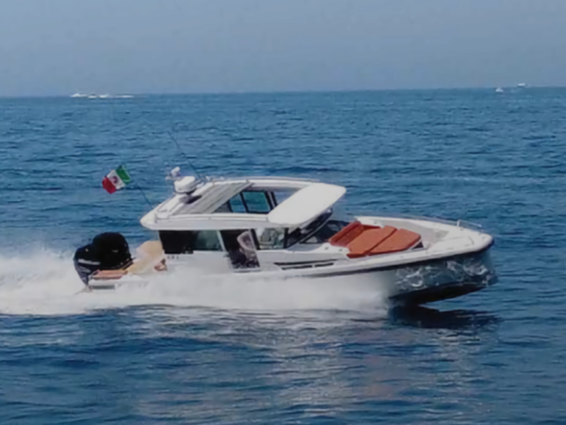 Listing image 1160552
