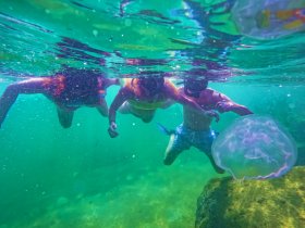 A group of friends enjoys snorkeling underwater, encountering a jellyfish in a vibrant marine environment — a perfect snapshot of adventure and exploration.