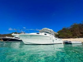 A sleek speedboat anchored in crystal-clear waters, showcasing its elegant design against a backdrop of a pristine beach and blue sky.