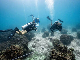 Divers explore a vibrant underwater landscape, surrounded by coral formations — an exhilarating experience for marine enthusiasts.