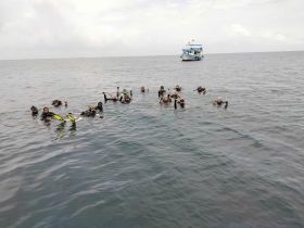 A lively group of snorkelers enjoys their underwater adventure, showcasing the excitement of marine exploration with a boat in the background.