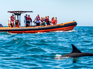 Four Adventures Boat Tours