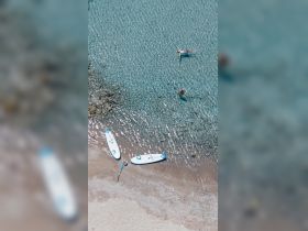 Two individuals enjoy a sunny day in crystal-clear waters, with paddleboards resting on the sandy beach — a perfect scene for water sports and relaxation.