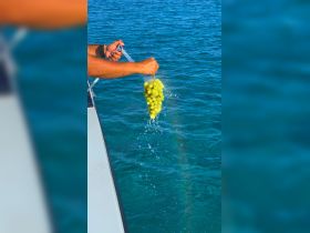 A hand rinses fresh grapes over the crystal-clear waters, showcasing the perfect onboard refreshment for a day at sea.