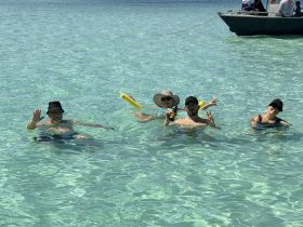 A cheerful group enjoys a sunny day swimming in crystal-clear waters, perfect for a fun beach outing or celebration.