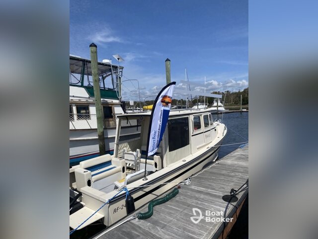 Listing image 1162090