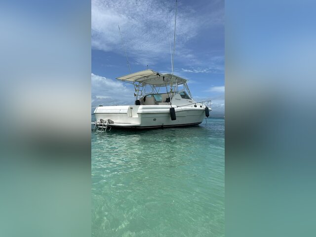 Listing image 1157563