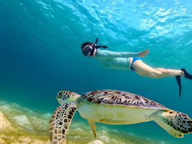 A snorkeler swims alongside a majestic sea turtle in crystal-clear waters, showcasing a beautiful underwater wildlife encounter.